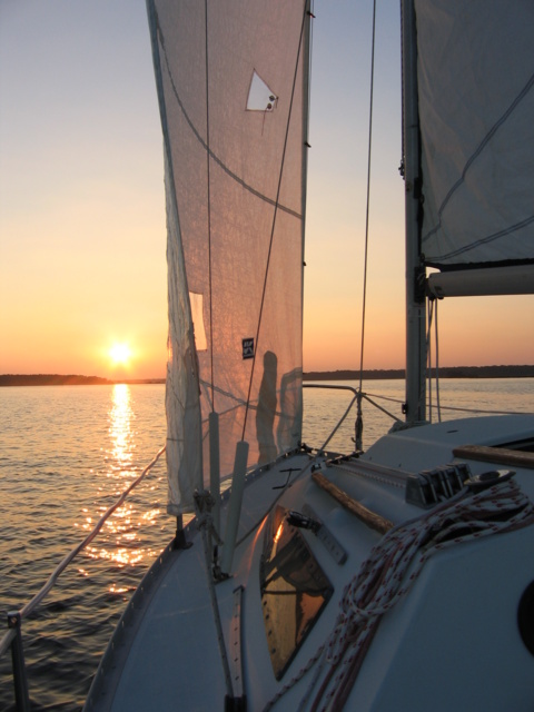 Sunset on Sea Puppy