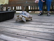 IMG_2422_001