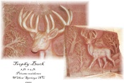 Big Buck.jpg