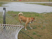 pics_4_04_012