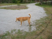 pics_4_04_001