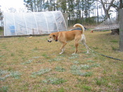pics_4_04_002