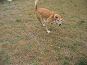 pics_4_04_004