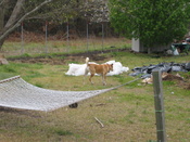 pics_4_04_006