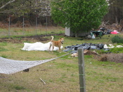 pics_4_04_007