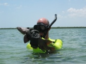 Easy to find pictures