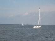 leukemia cup 2006 056.jpg
