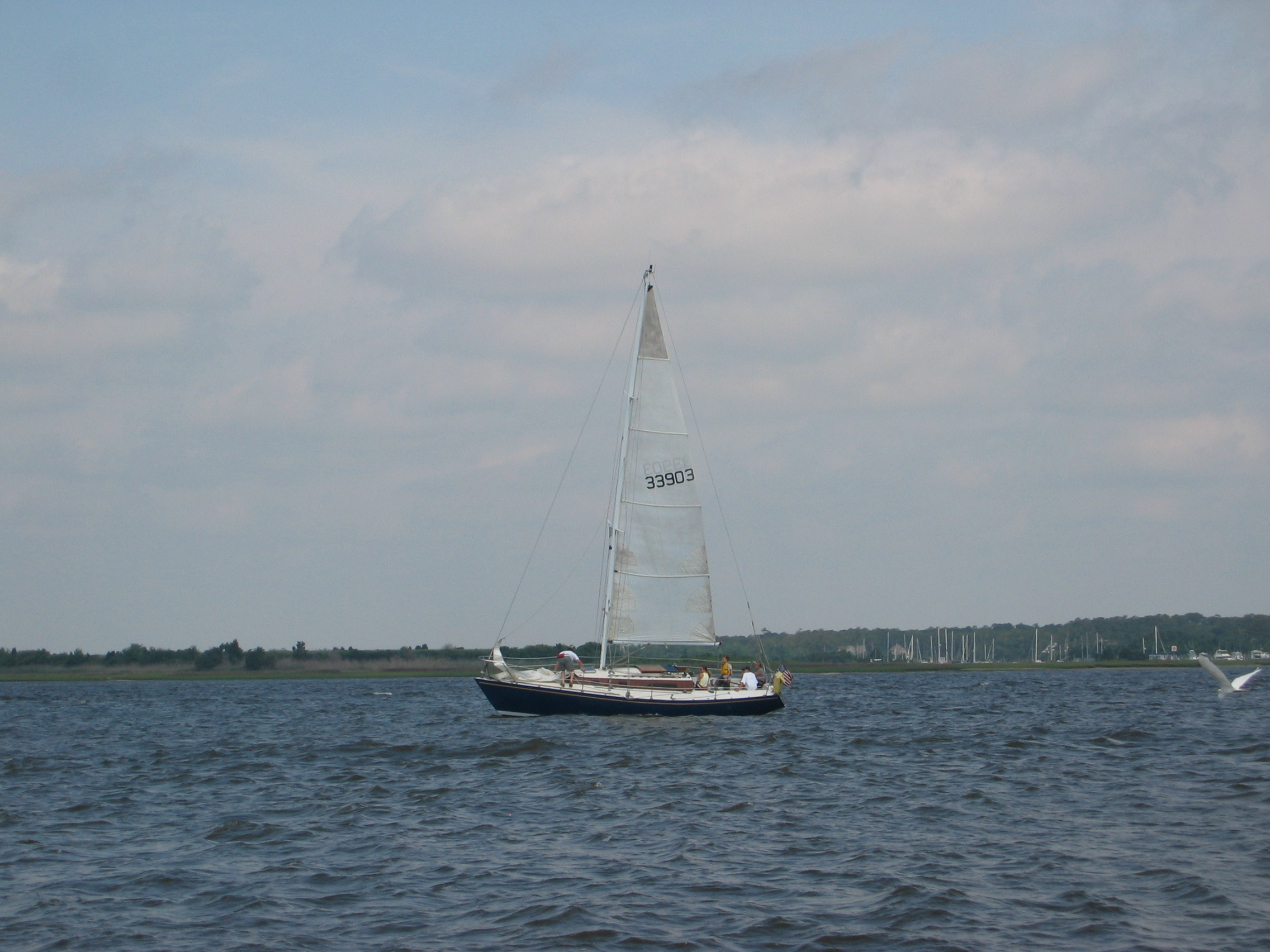 leukemia cup 2006 057.jpg