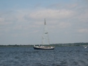 leukemia cup 2006 057.jpg