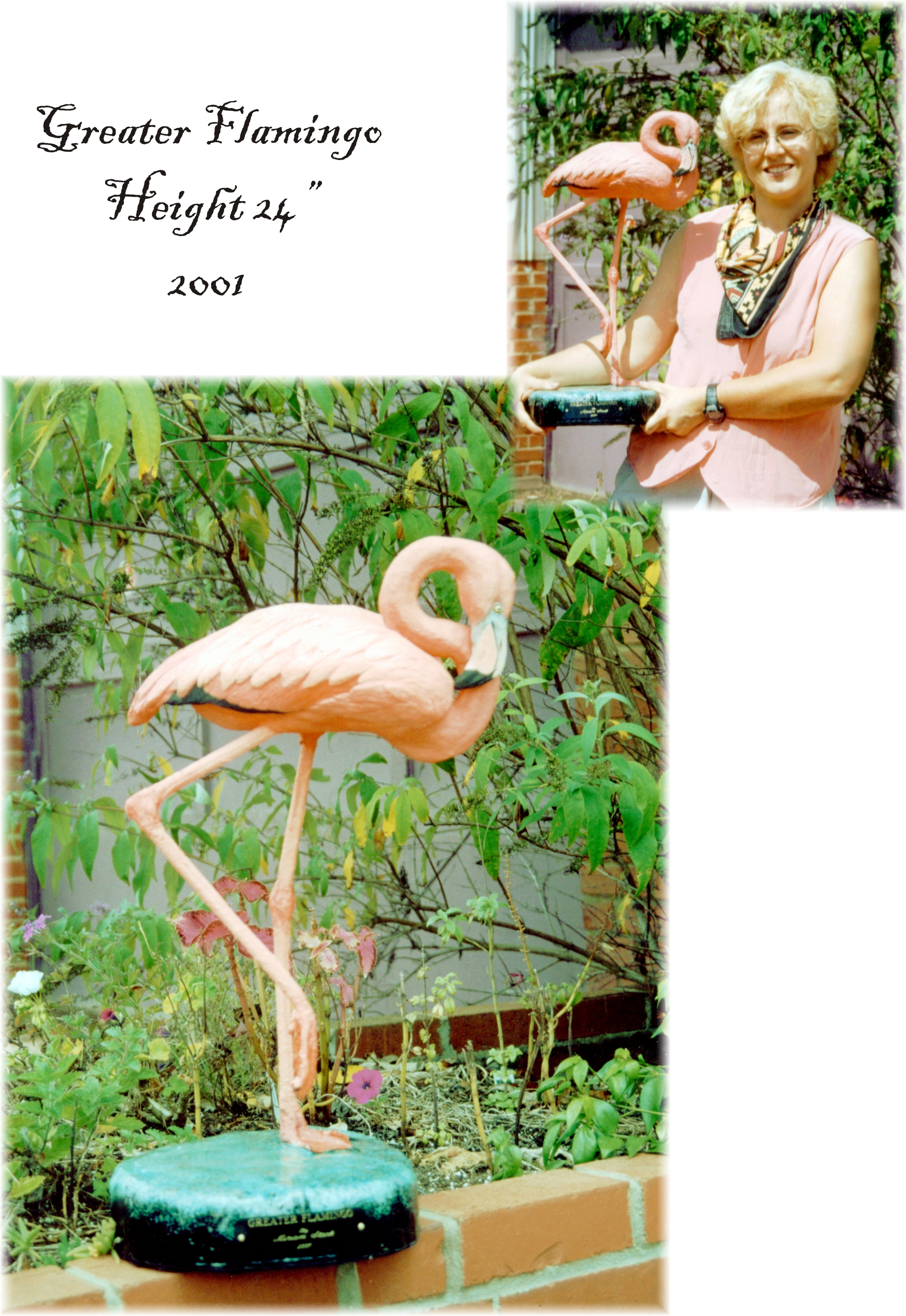 Flamingo.jpg