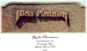 Ricks Plantation.jpg
