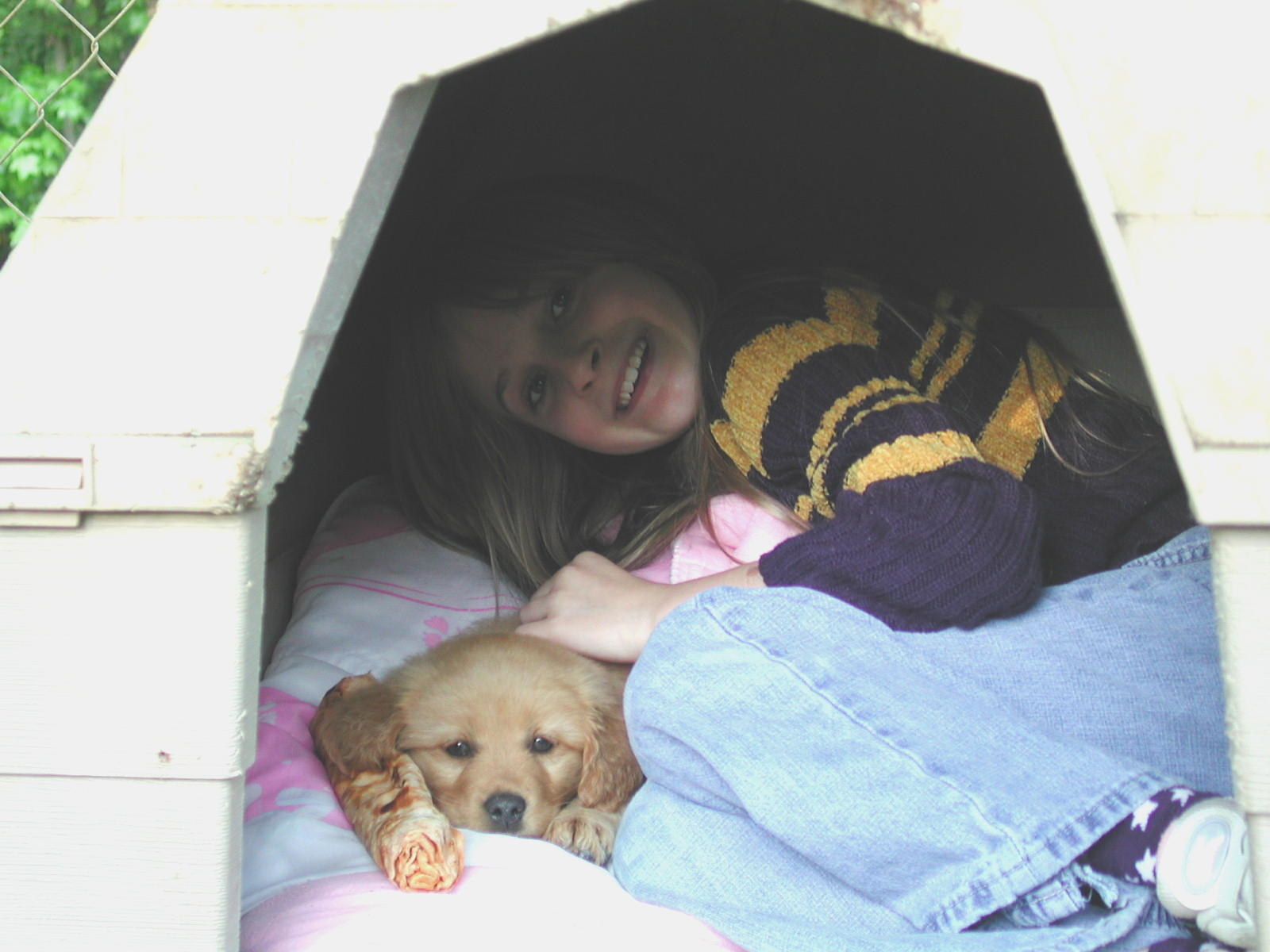 In the Dog House.jpg