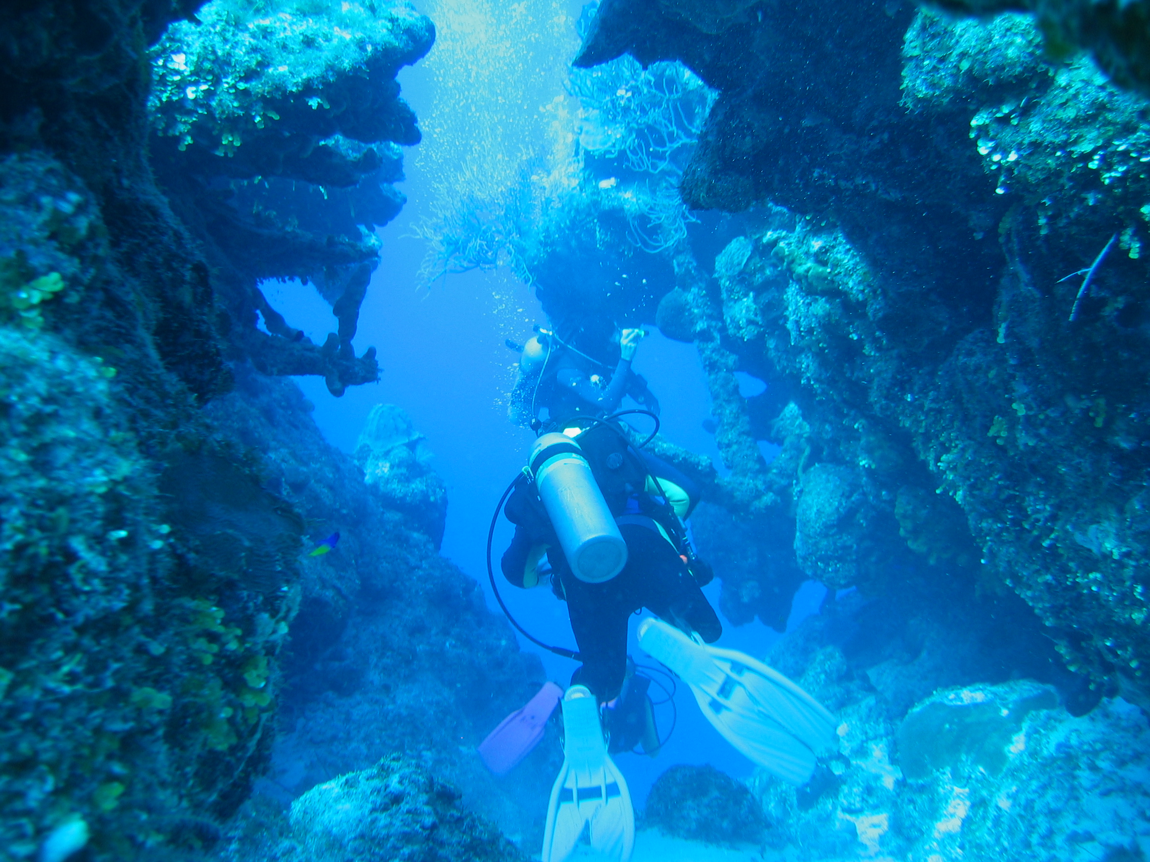 turks_caicos_day_two_diving_023