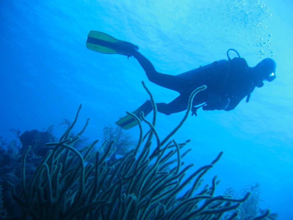 turks_caicos_arival_and_day_one_diving_027