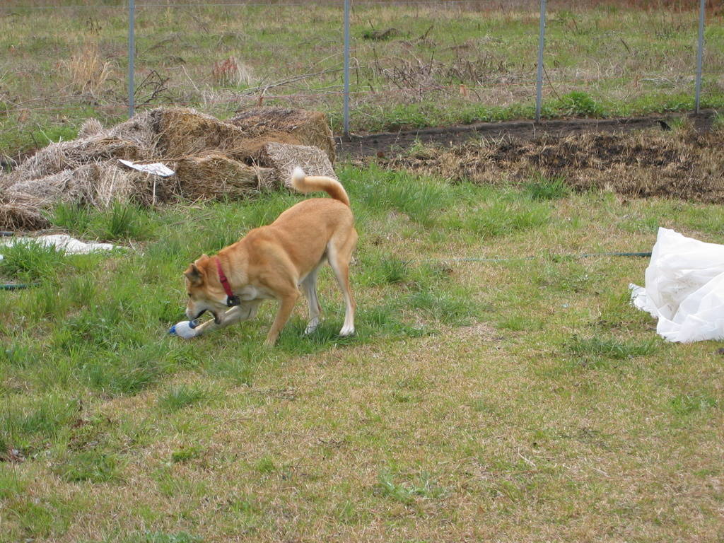 pics_4_04_009