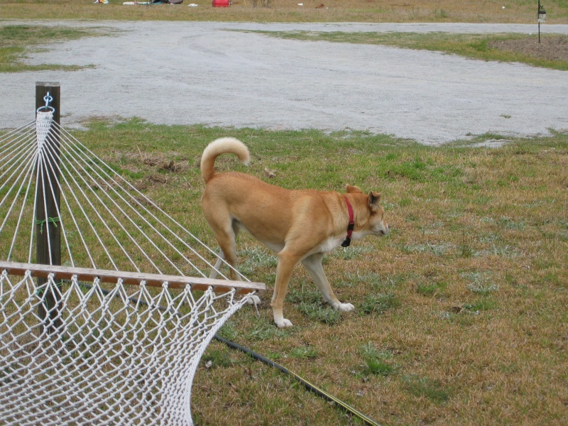 pics_4_04_012