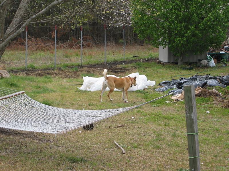 pics_4_04_006