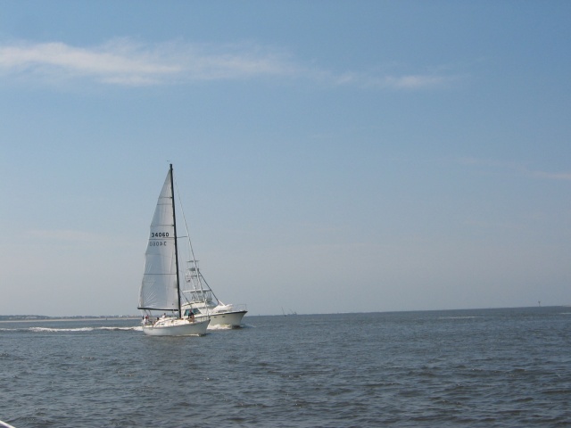 leukemia cup 2006 048.jpg