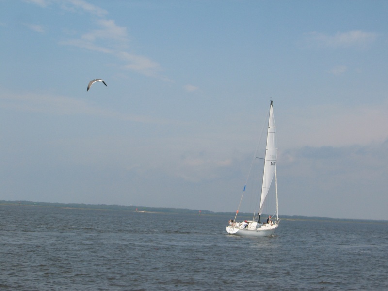 leukemia cup 2006 054.jpg