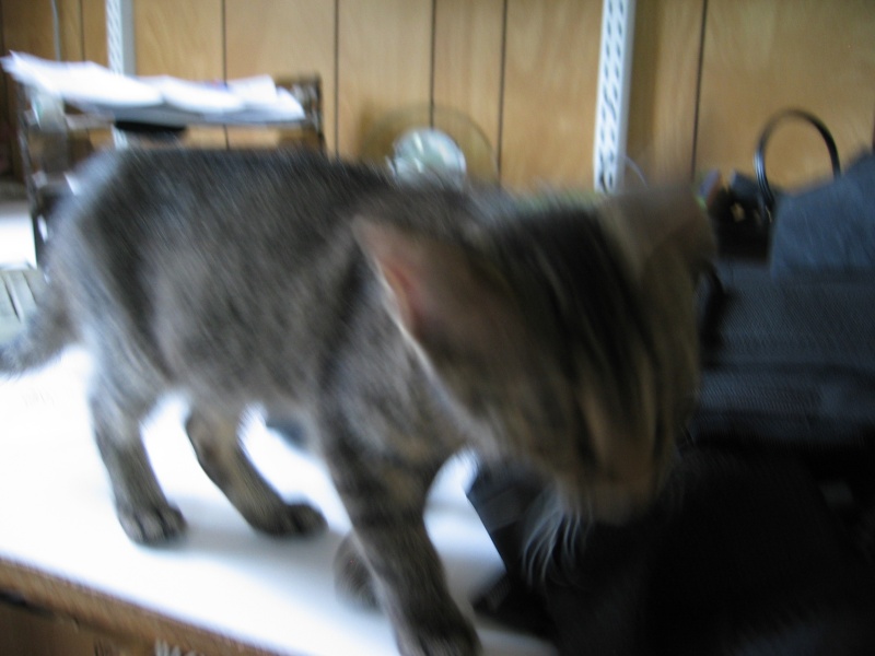 IMG_8256.JPG