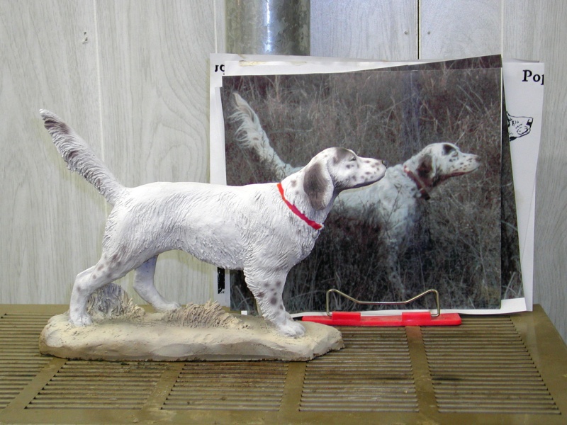 English Setter Color.jpg