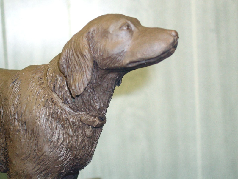 English Setter, green.jpg