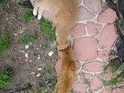 IMG_0395.JPG
