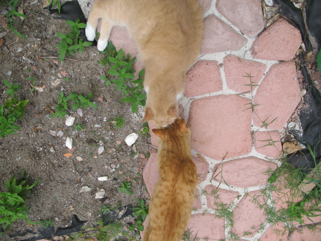 IMG_0395.JPG