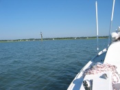 picture from sailing in murrels inlet