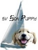 Sea puppy logo2.jpg